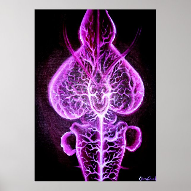 Vaskulariseringen av nervsystemet i roden poster (Framsidan)