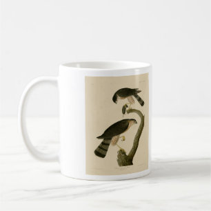 Vass hawk från Audubon's Birds of America Kaffemugg