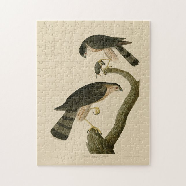 Vass hawk från Audubon's Birds of America Pussel (Vertikal)
