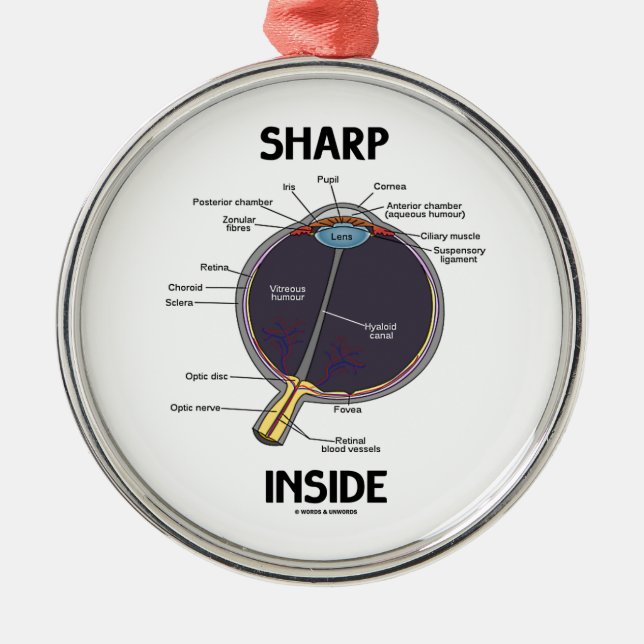 Vass insida för öga (I) (den Anatomical Julgransprydnad Metall (Framsidan)