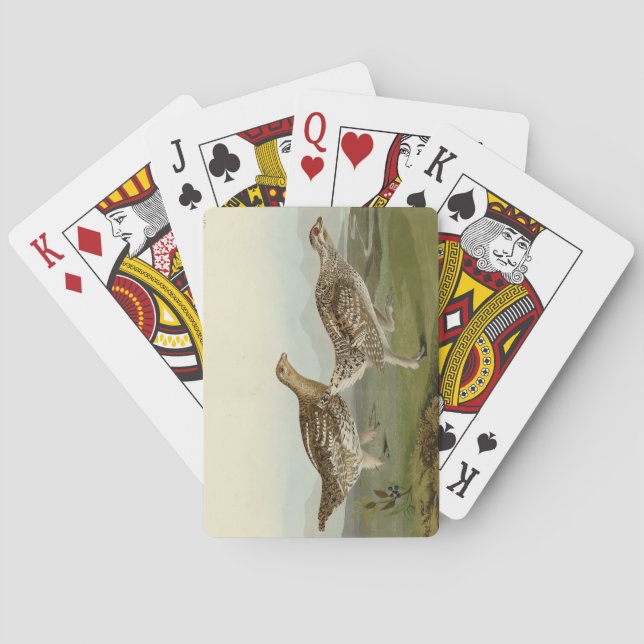 Vass jordskred - Audubon's Birds of America Casinokort (Baksidan)