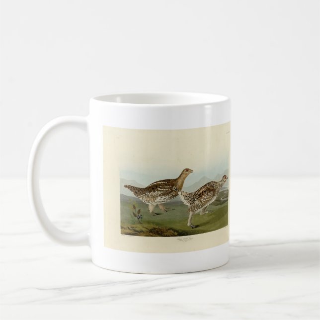 Vass jordskred - Audubon's Birds of America Kaffemugg (Vänster)