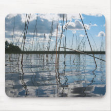 Vass och reflektioner på Rice Lake