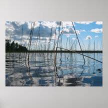 Vass och reflektioner på Rice Lake