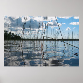 Vass och reflektioner på Rice Lake Poster