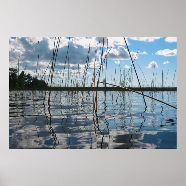 Vass och reflektioner på Rice Lake Poster (Framsidan)