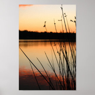 Vass och sjöstranden reflektion vid solnedgång poster