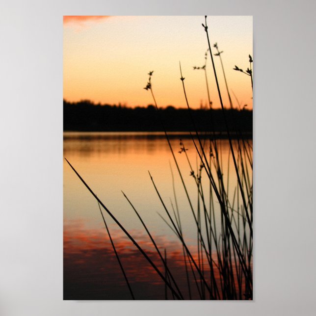 Vass och sjöstranden reflektion vid solnedgång poster (Framsidan)