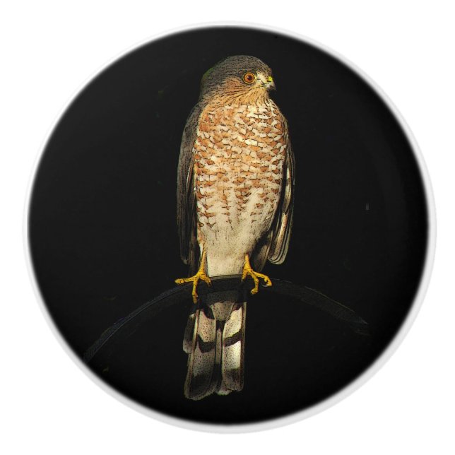Vass-Shinned Hawk Ceramic Knob Knopp (Framsidan)