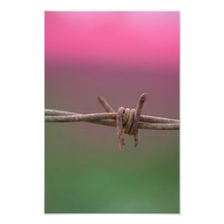 Vassa Färg. Fototryck