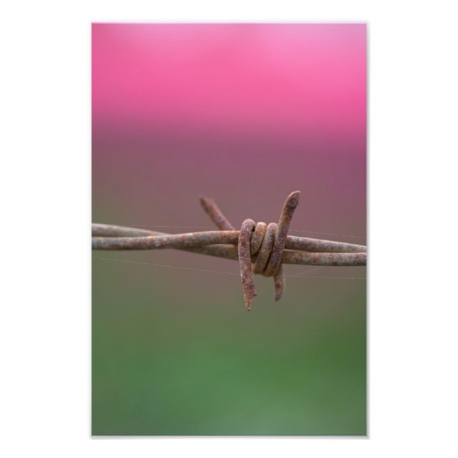 Vassa Färg. Fototryck (Framsidan)