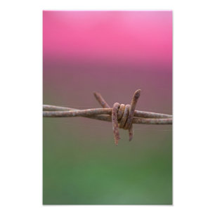Vassa färger fototryck