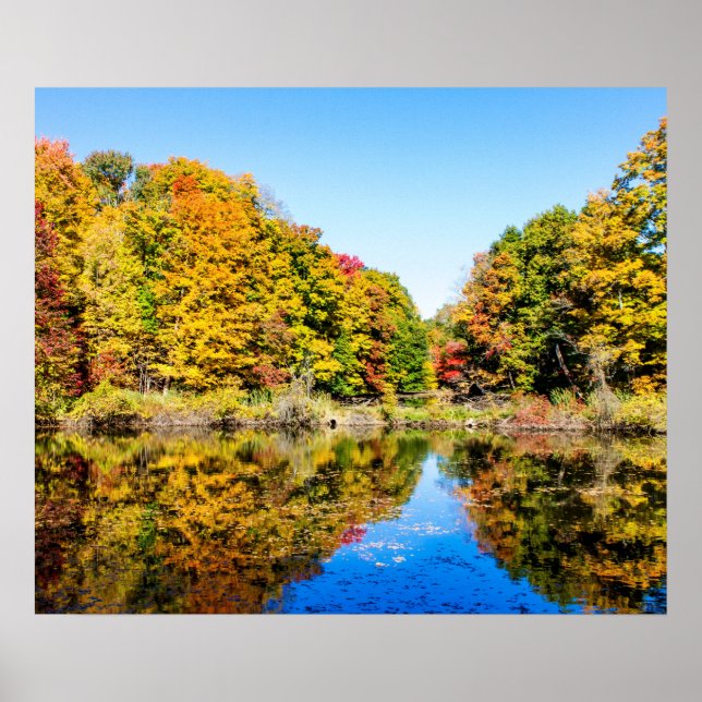Vassar Farms Pond Poster (Framsidan)