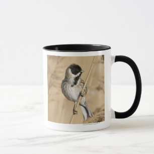 VassBunting (Emberizaschoeniclus) perched in Mugg