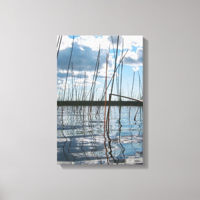 Vassgräs vid Rice Lake – Övre halvan Canvastryck (Framsida)