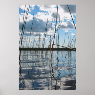 Vassgräs vid Rice Lake – Övre halvön Poster