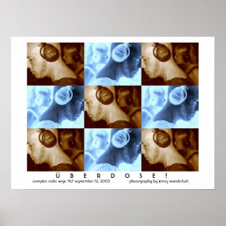 vassla poster