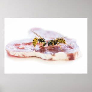Vasslor som äter korv poster