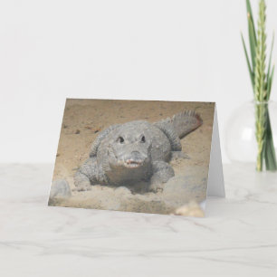 "Väster African Dwarf Crocodile" födelsedagskort Kort