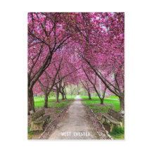 Väster Chester Everhart Park-kort