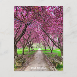 Väster Chester Everhart Park-kort Vykort