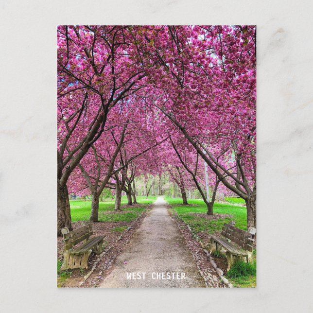 Väster Chester Everhart Park-kort Vykort (Framsida)