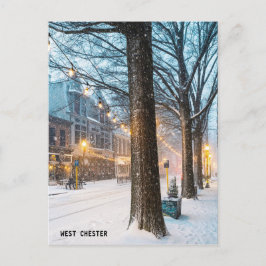 VÄSTER CHESTER POSTCARD VYKORT