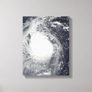 Väster för TyphoonMirinae överskrift Canvastryck
