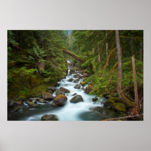 Väster Fork Foss River Washington Poster