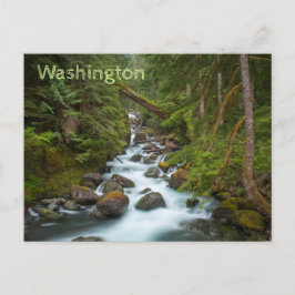 Väster Fork Foss River Washington Vykort