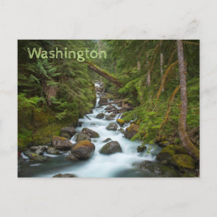 Väster Fork Foss River Washington Vykort