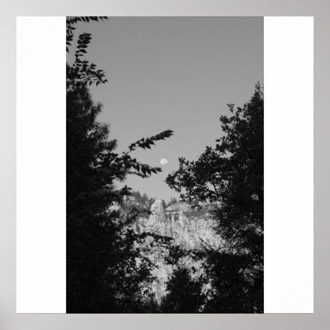 Väster Fork Poster (Framsidan)