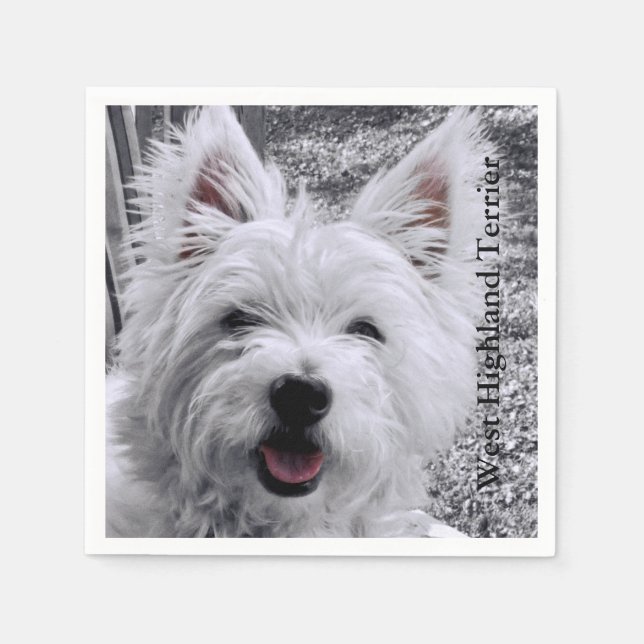 Väster Highland Terrier Pappersservett (Framsidan)