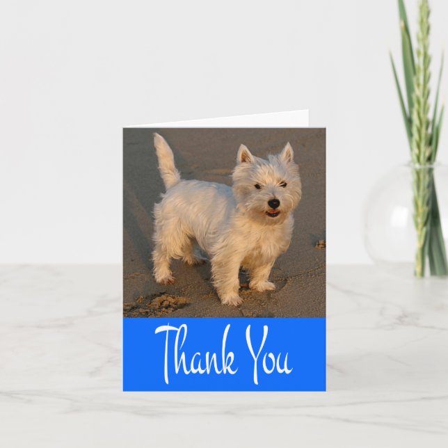 Väster Highland Terrier Puppy Hund Blank Blue Card Tack Kort (Framsida)