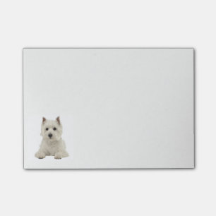 Väster Highland Terrier Puppy Hund Post-it Block