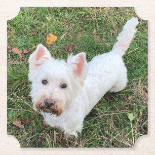 Väster Highland Terrier Underlägg Papper