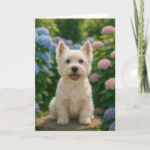 Väster Highland Terrier Vår, sommarhälsningskort f Kort