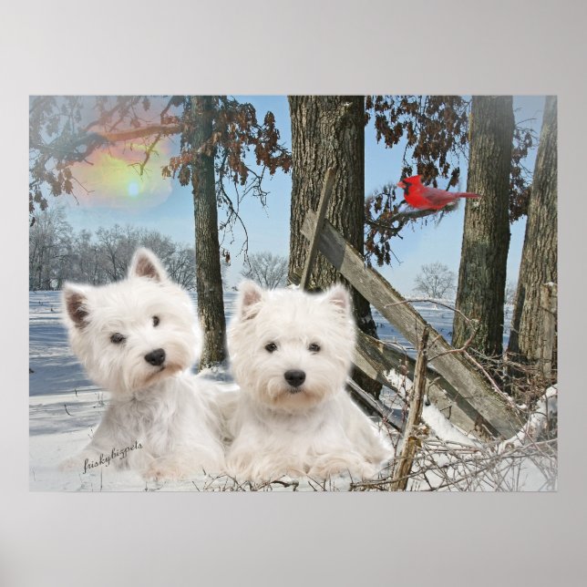 Väster Highland Terrier vinterdag Poster (Framsidan)