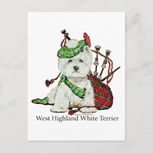 Väster Highland Terrier Vykort