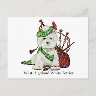Väster Highland Terrier Vykort