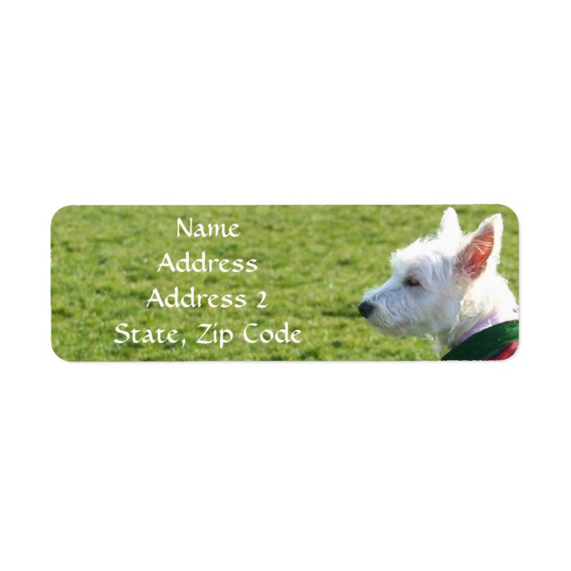 Väster Highland White Terrier-Adressetiketter Returadress Etikett (Framsidan)