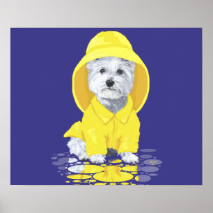 Väster Highland White Terrier April Showers Poster