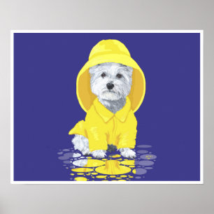 Väster Highland White Terrier April Showers Poster