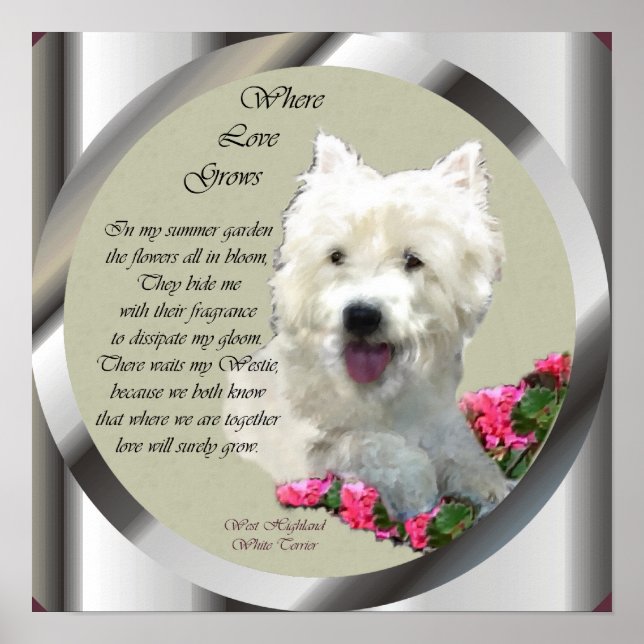 Väster Highland White Terrier Art Skriv ut Poster (Framsidan)