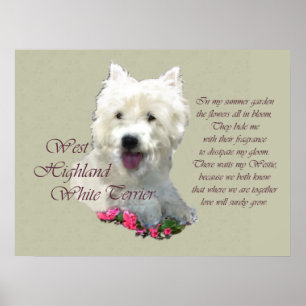 Väster Highland White Terrier Art Skriv ut Poster