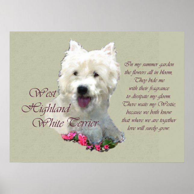 Väster Highland White Terrier Art Skriv ut Poster (Framsidan)