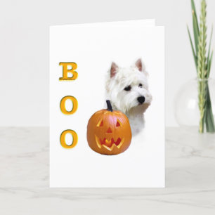 Väster Highland White Terrier Boo Kort