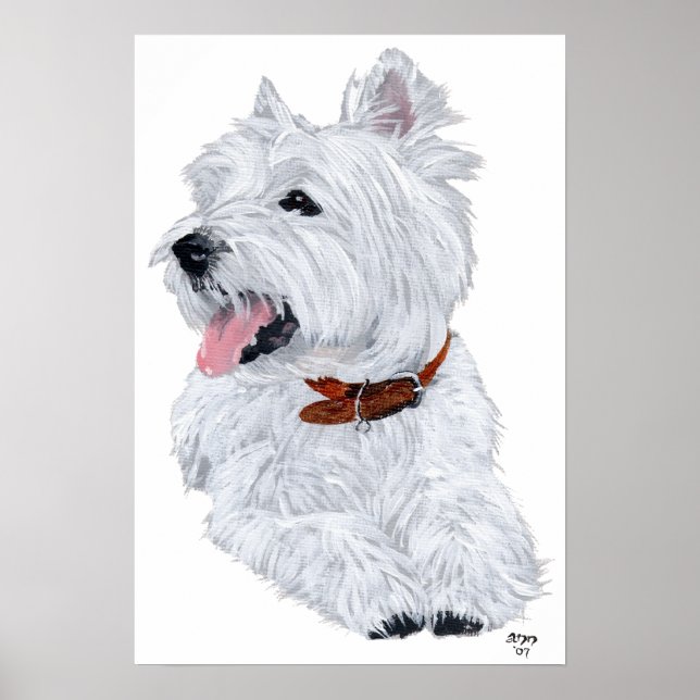 Väster Highland White Terrier Chef Poster (Framsidan)