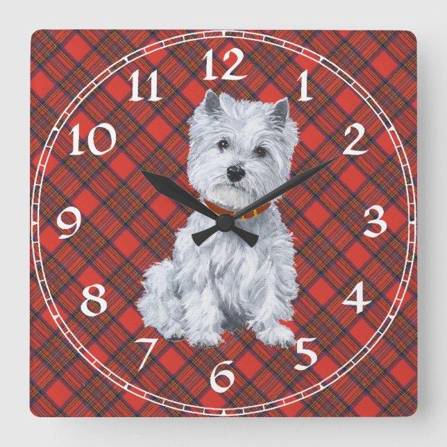 Väster Highland White Terrier Clock Fyrkantig Klocka (Framsida)