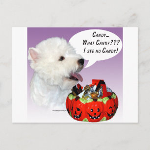 Väster Highland White Terrier Halloween Candy Vykort